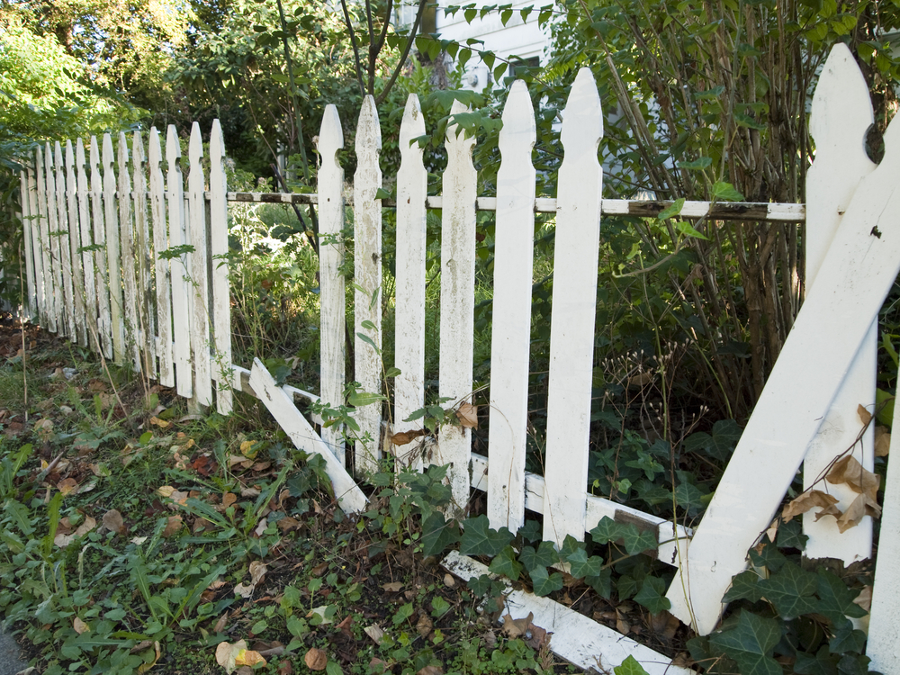 4 indicators that your wood fence needs replacing