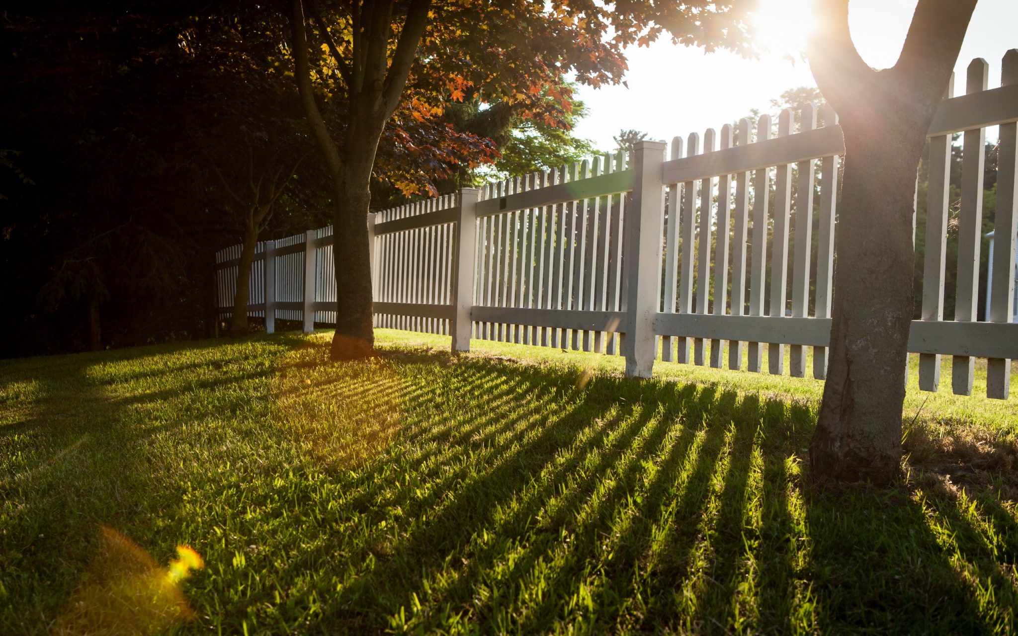 6 mistakes to avoid when building your fence